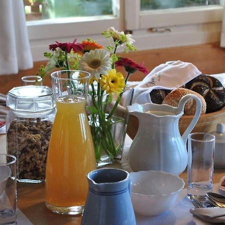 דורנבירן Grosszuegige Ferienwohnung Am Skigebiet Boedele Mit Rheintalblick מראה חיצוני תמונה