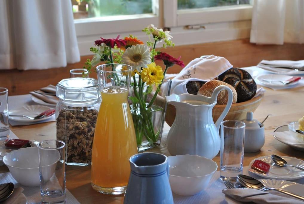 דורנבירן Grosszuegige Ferienwohnung Am Skigebiet Boedele Mit Rheintalblick מראה חיצוני תמונה